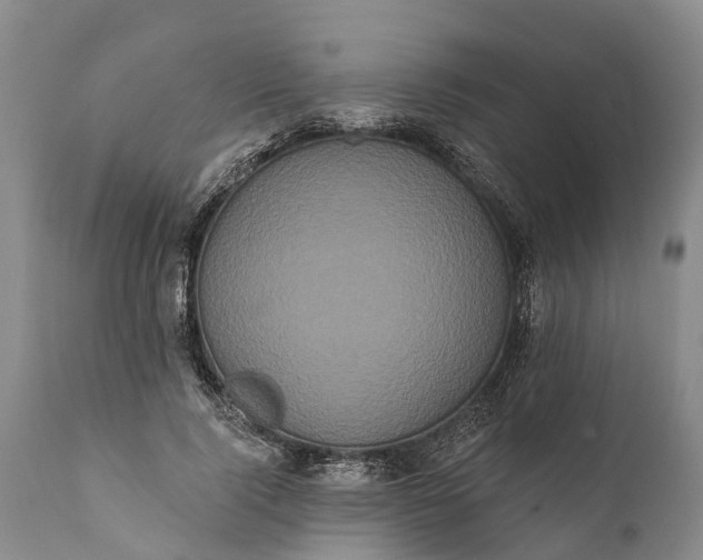 X0000112000740200908171419