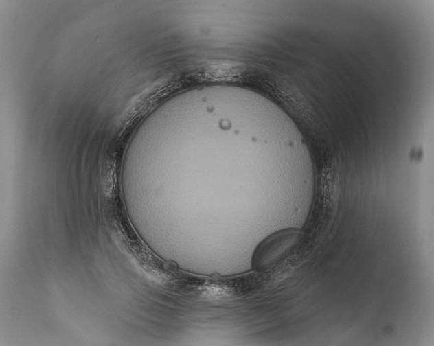 X0000112000741200908171419