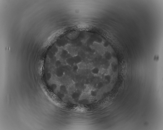 X0000112000742200908171419