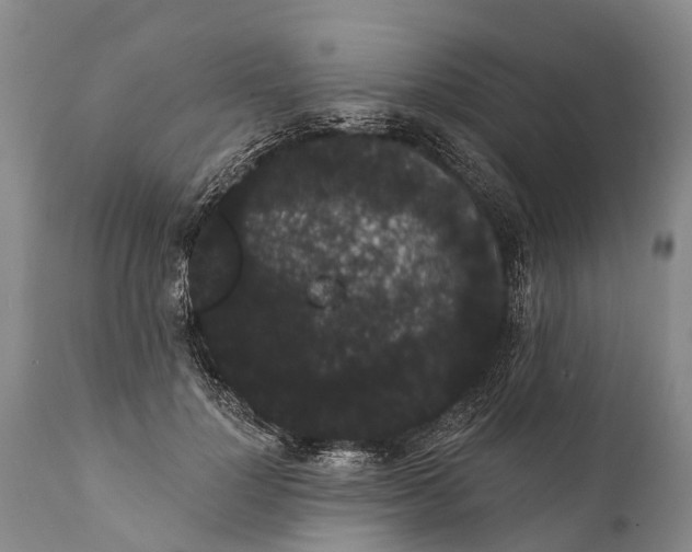 X0000112000748200908171419