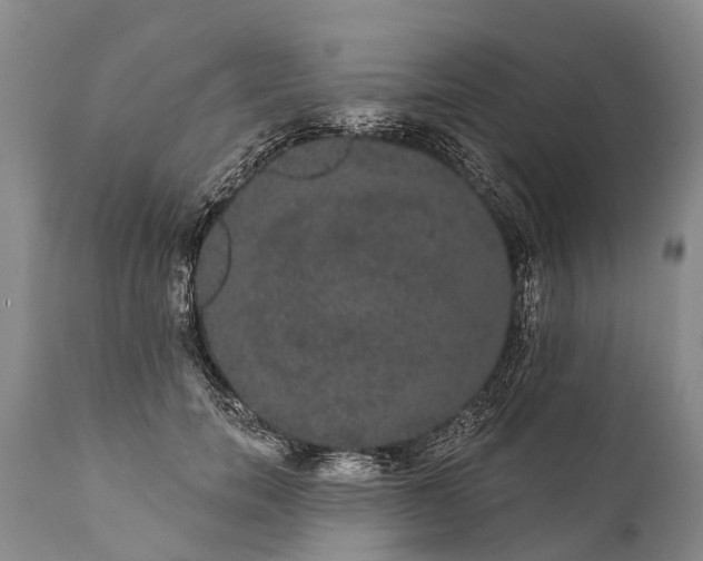 X0000112000750200908171419