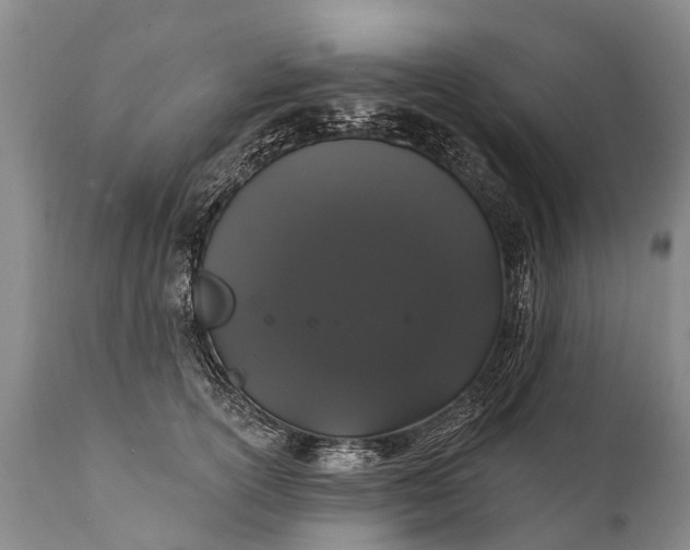 X0000112000754200908171419