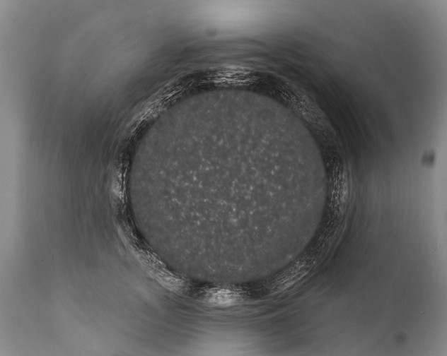 X0000112000755200908171419