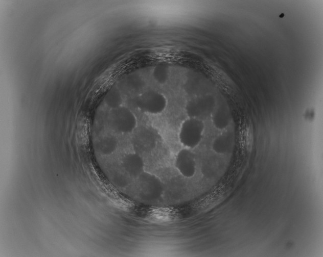 X0000112000757200908171419