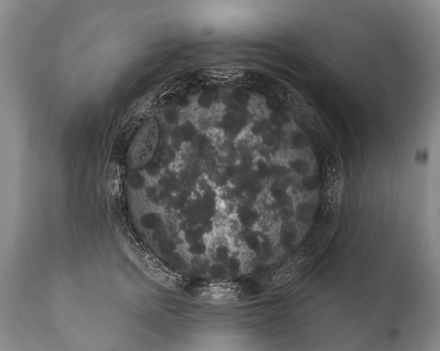 X0000112000758200908171419