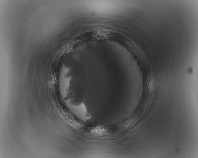 X0000112000759200908171419