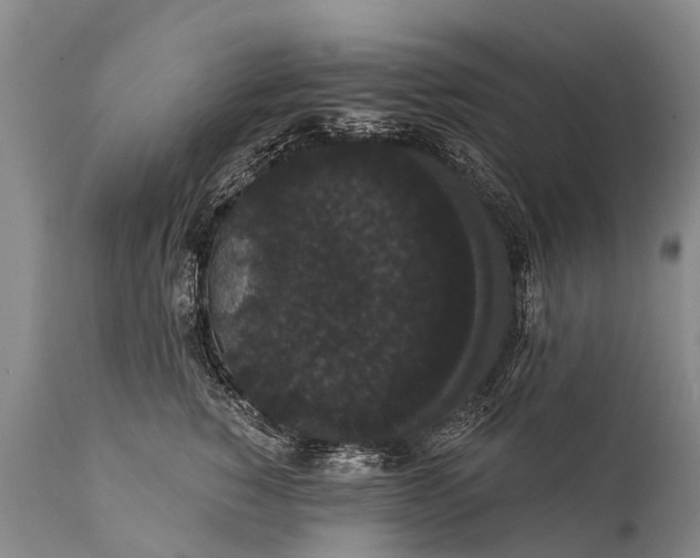 X0000112000760200908171419