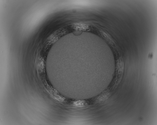 X0000112000761200908171419