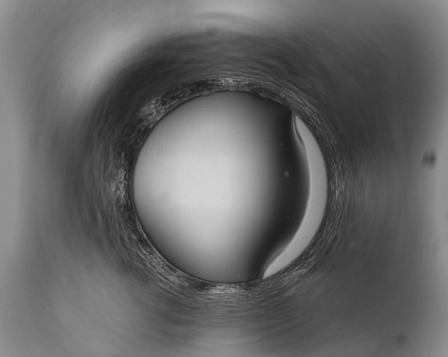 X0000112000762200908171419