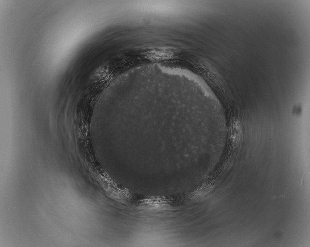 X0000112000763200908171419