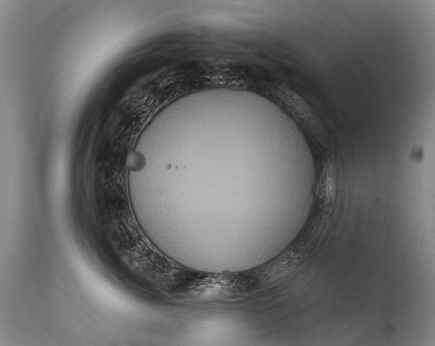 X0000112000764200908171419