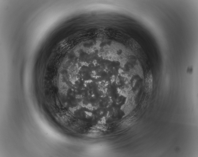 X0000112000765200908171419