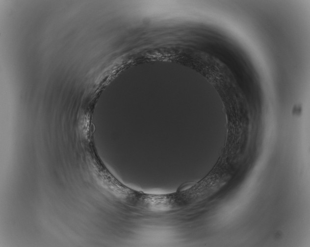 X0000112000767200908171419