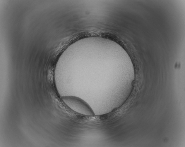 X0000112000768200908171419