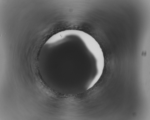 X0000112000769200908171418