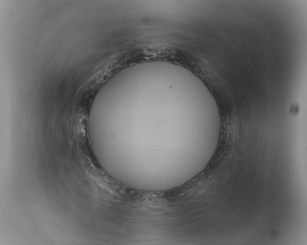 X0000112000770200908171418