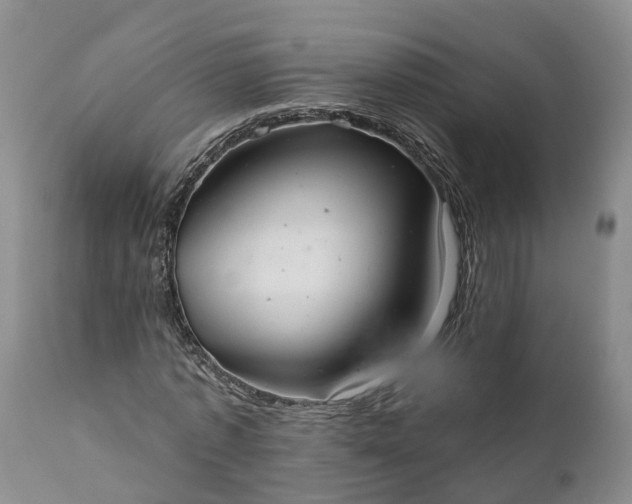 X0000112000773200908171418