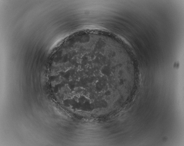 X0000112000775200908171418