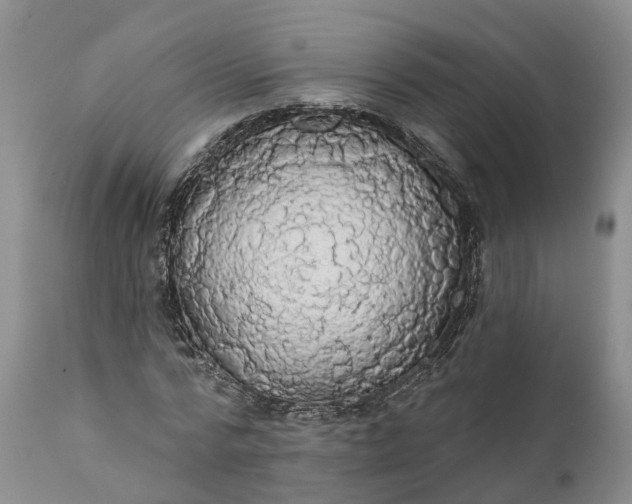 X0000112000776200908171418