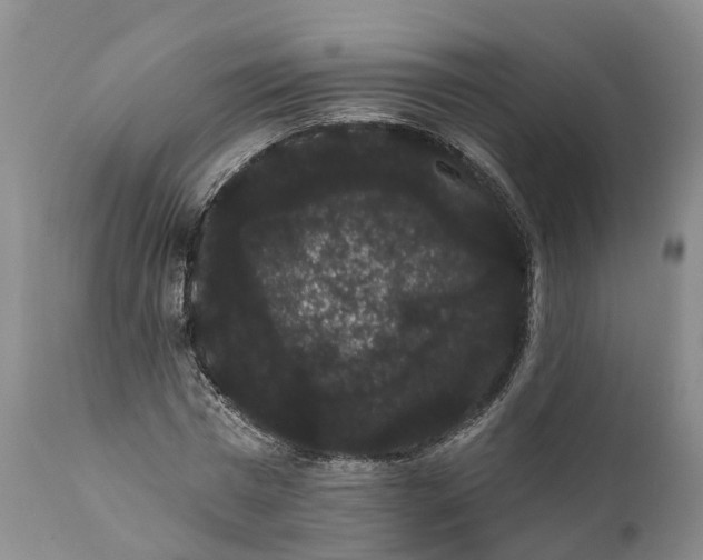 X0000112000777200908171418