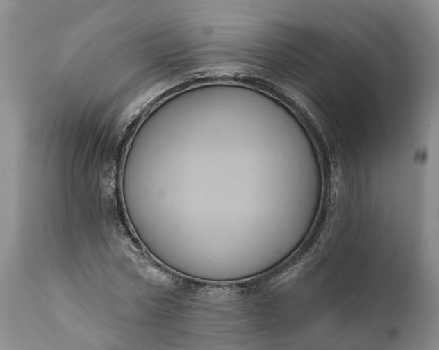 X0000112000778200908171418