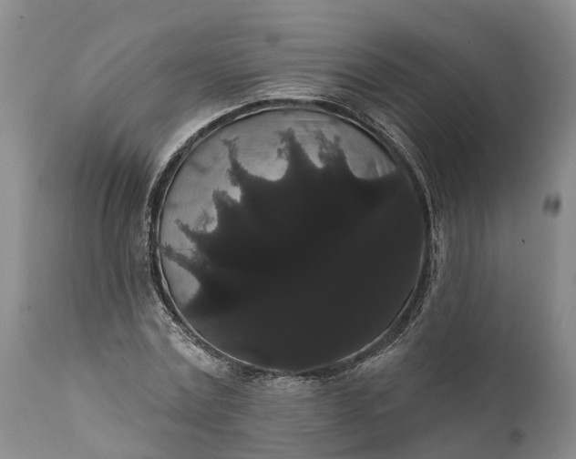 X0000112000779200908171418