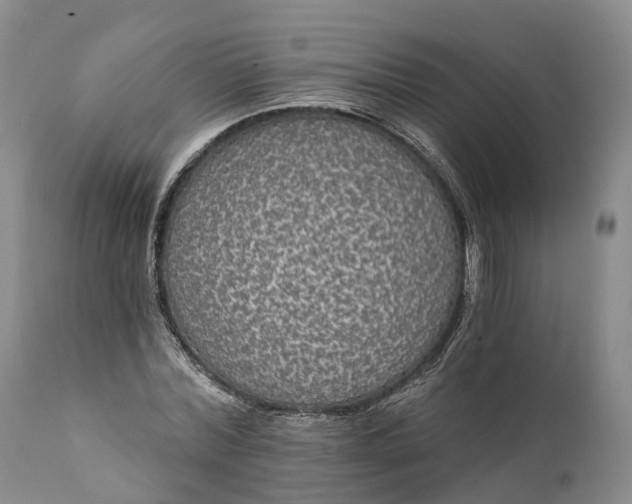 X0000112000780200908171418