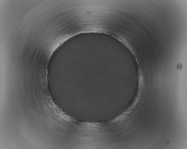 X0000112000781200908171418