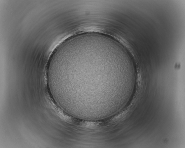 X0000112000782200908171418