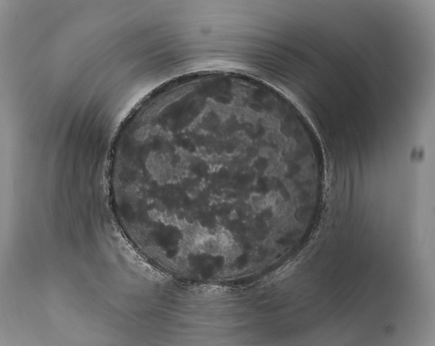 X0000112000783200908171418