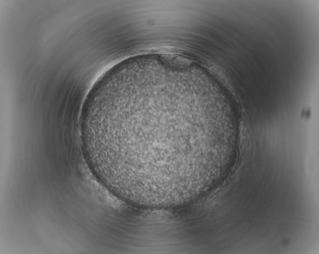 X0000112000784200908171418