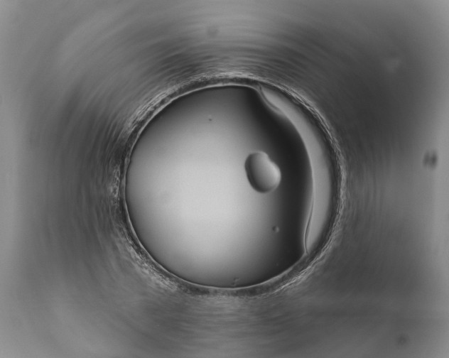 X0000112000785200908171418