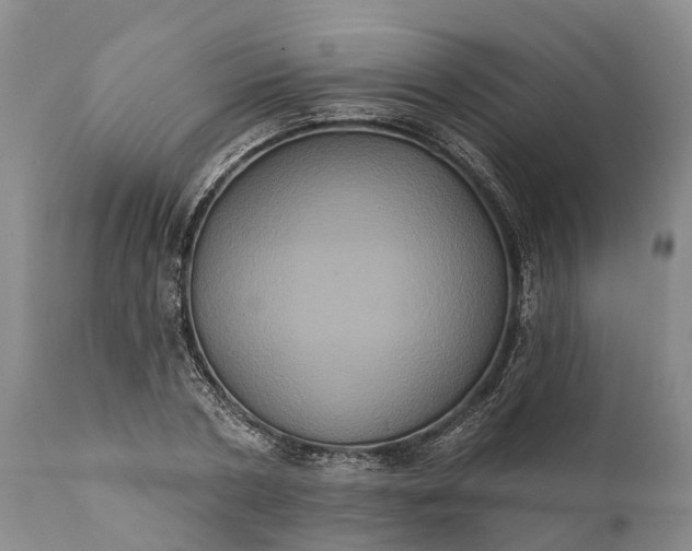 X0000112000786200908171418