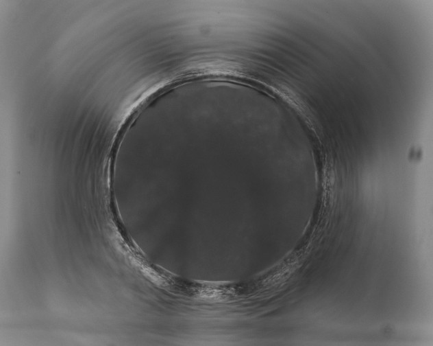 X0000112000790200908171418