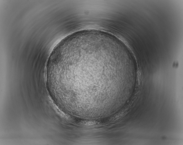 X0000112000791200908171418