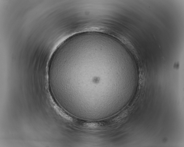 X0000112000792200908171418