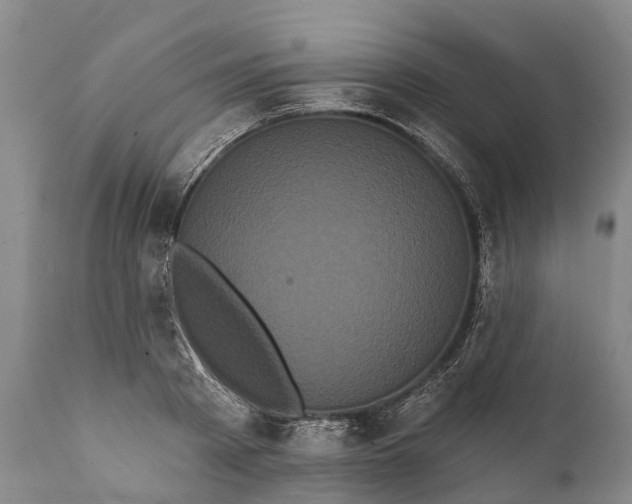 X0000112000793200908171418