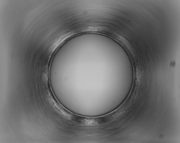 X0000112000794200908171418