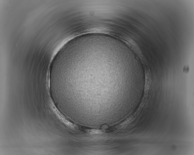 X0000112000796200908171418