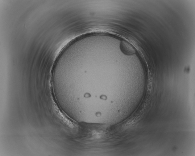 X0000112000799200908171418