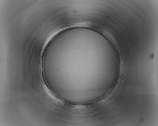 X0000112000800200908171418