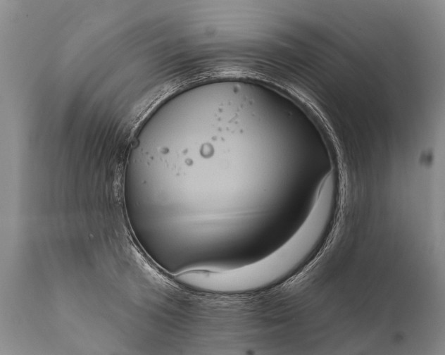 X0000112000801200908171418