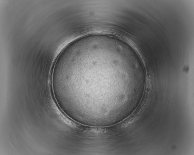 X0000112000803200908171418