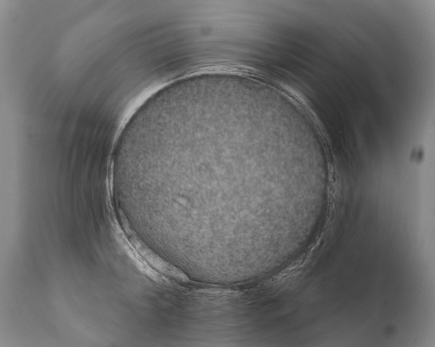 X0000112000804200908171418