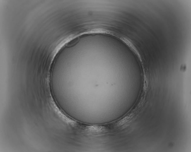 X0000112000805200908171418