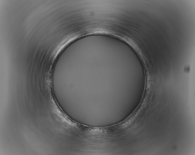 X0000112000806200908171418