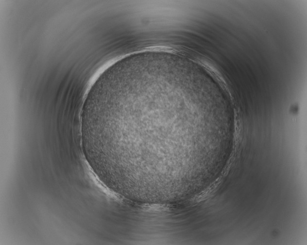 X0000112000808200908171418