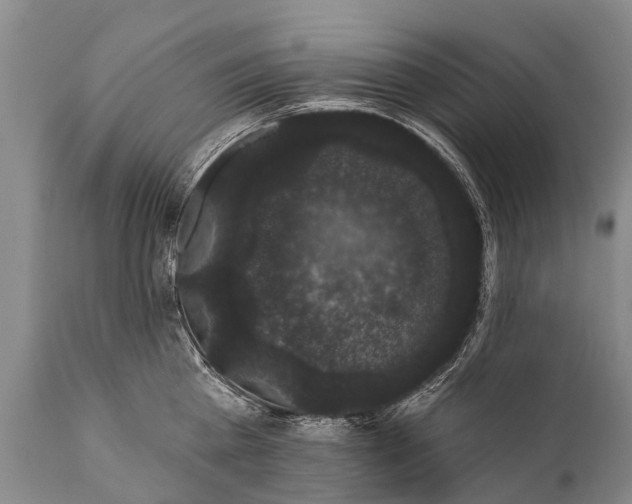 X0000112000809200908171418