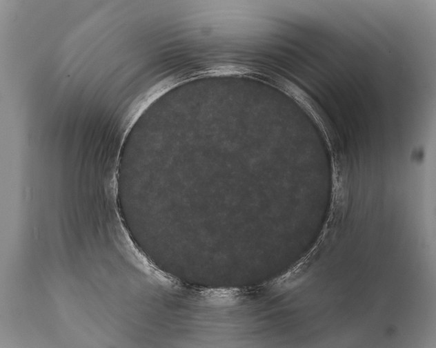 X0000112000810200908171418