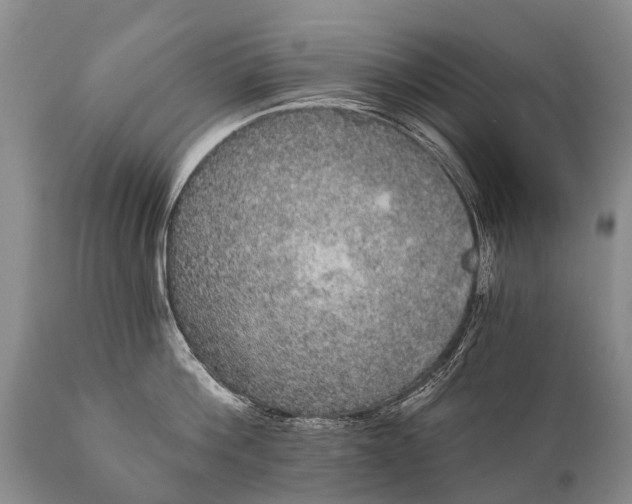 X0000112000812200908171418